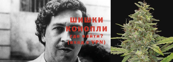 альфа пвп Краснослободск