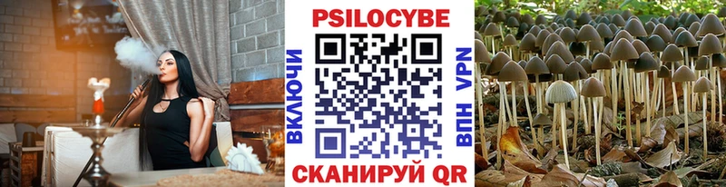 купить наркотики цена  Дыгулыбгей  hydra онион  Галлюциногенные грибы мухоморы 