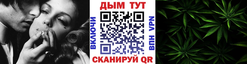 Бошки марихуана конопля  Дыгулыбгей 